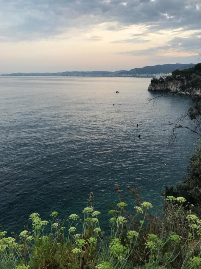 Aldi'S Guest House Vlore Ngoại thất bức ảnh